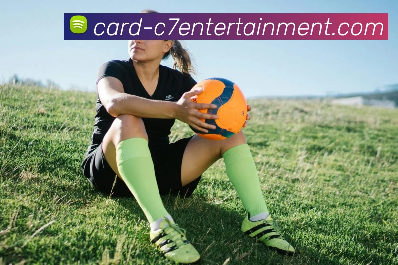 c7 entertainment平台生态图